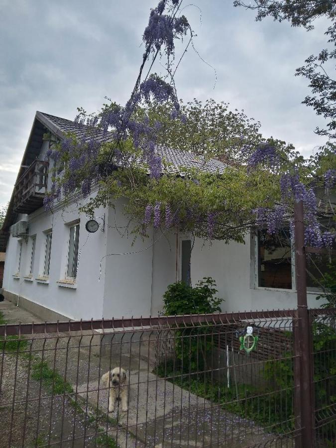 Casa Mocanu Giurgiu 외부 사진