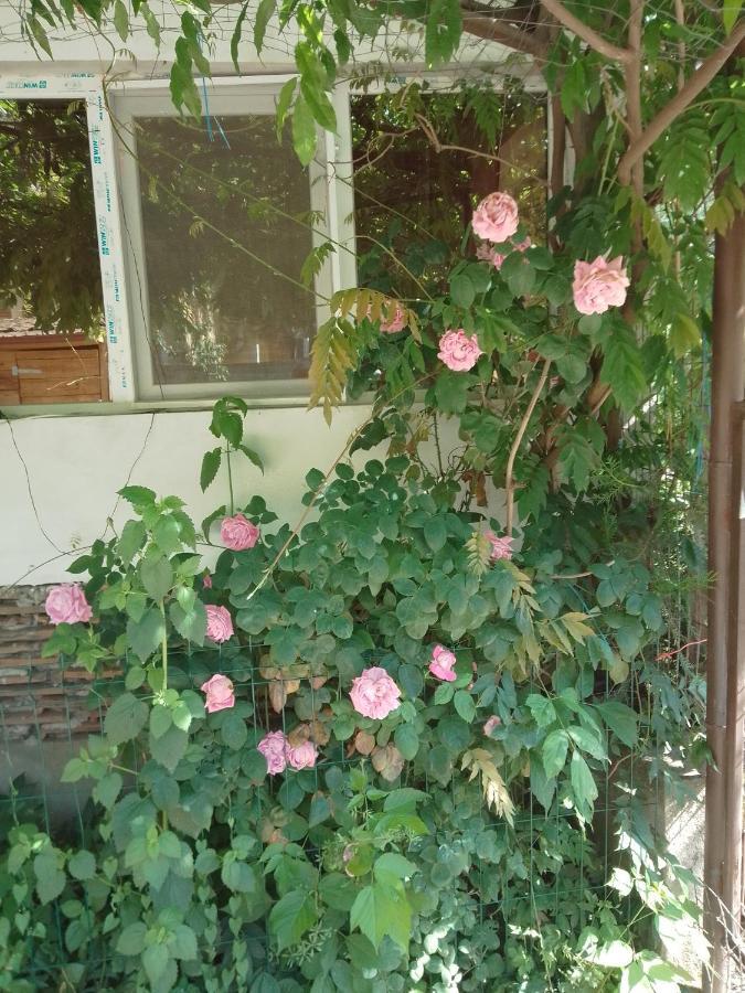 Casa Mocanu Giurgiu 외부 사진