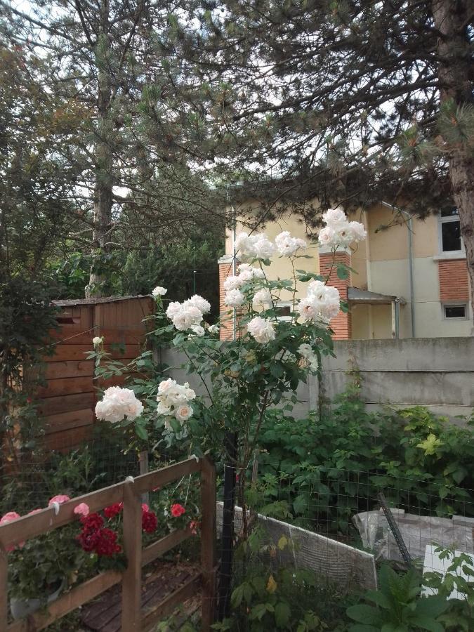 Casa Mocanu Giurgiu 외부 사진