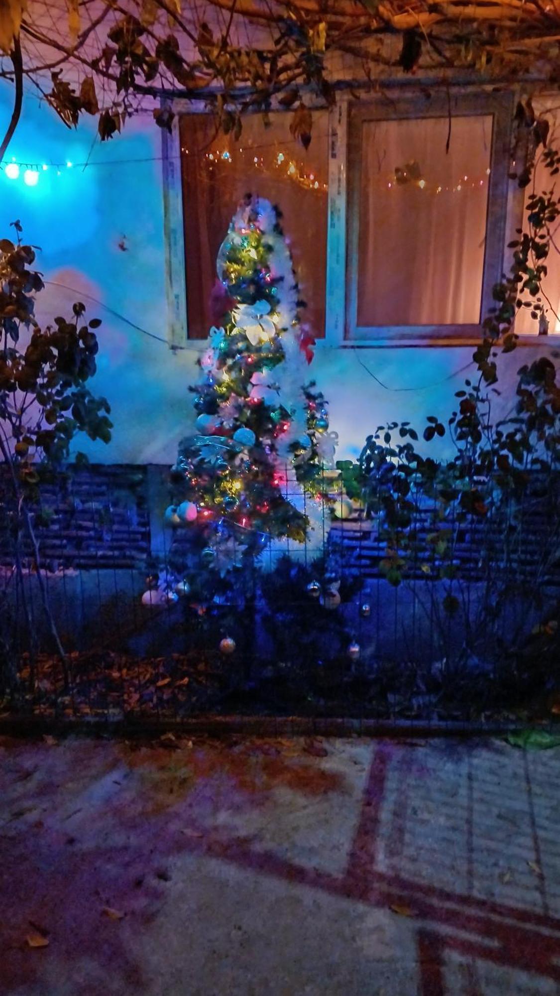 Casa Mocanu Giurgiu 외부 사진