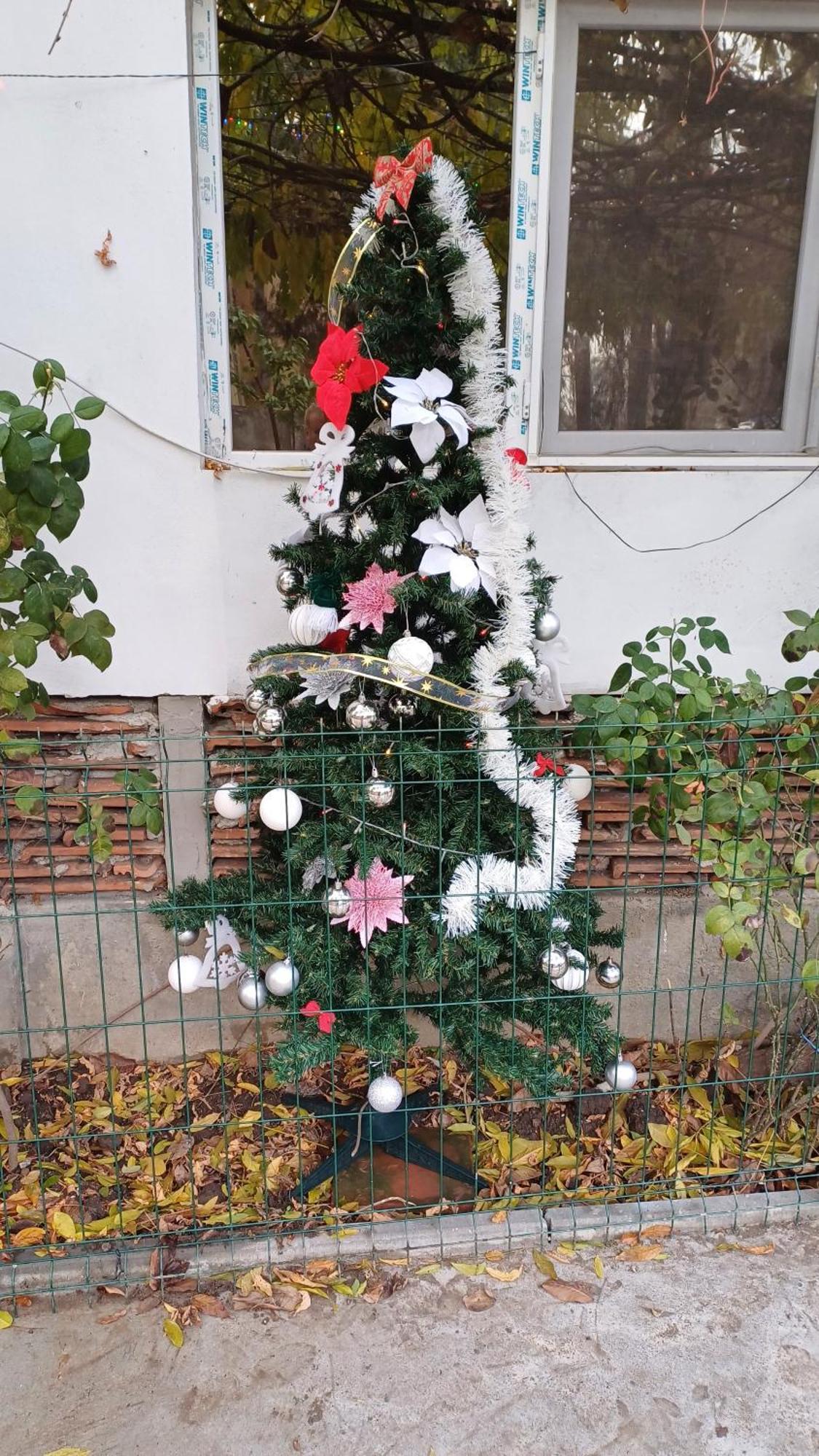 Casa Mocanu Giurgiu 외부 사진