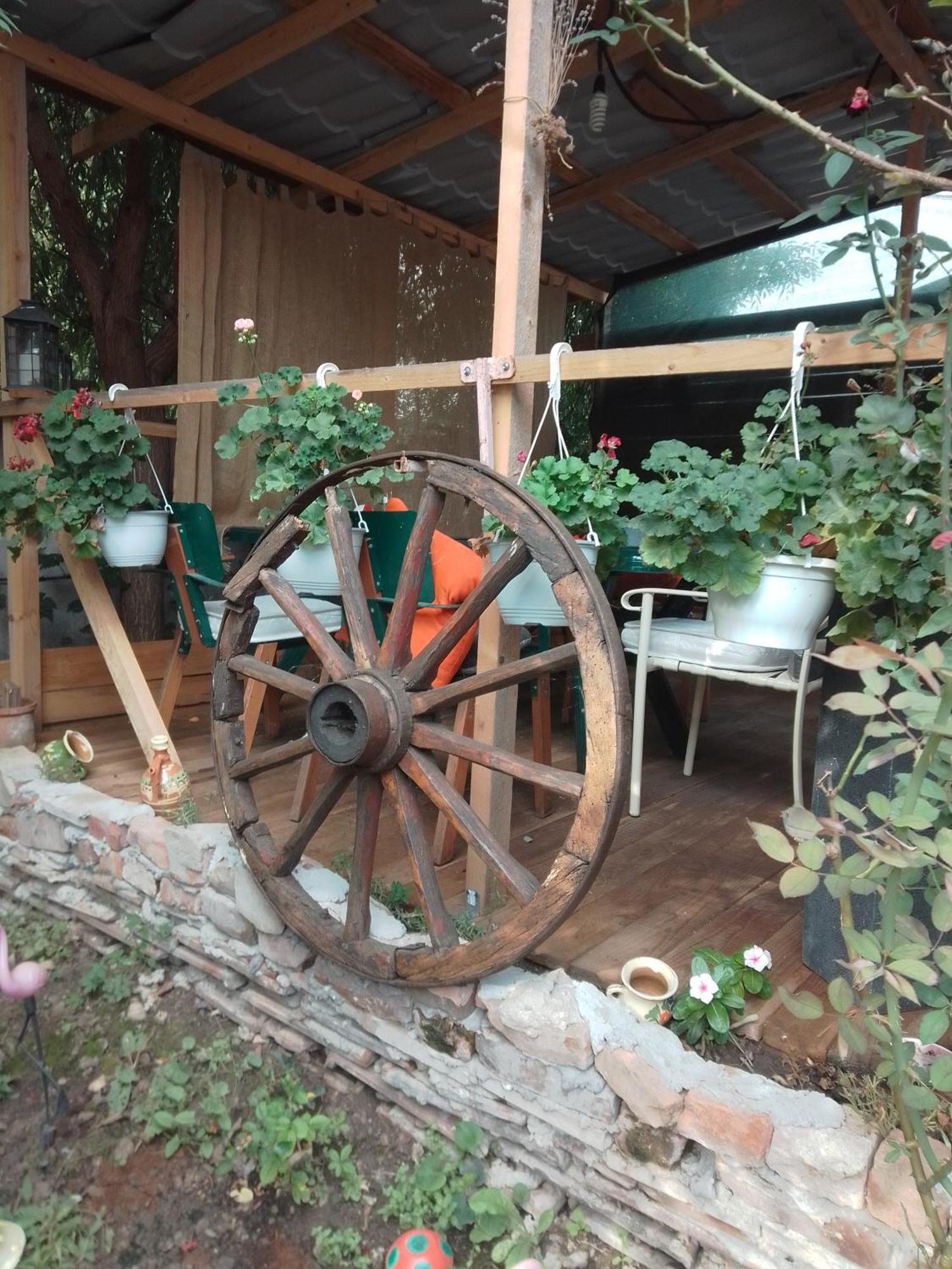 Casa Mocanu Giurgiu 외부 사진